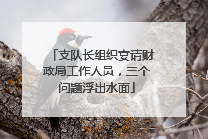 支队长组织宴请财政局工作人员，三个问题浮出水面