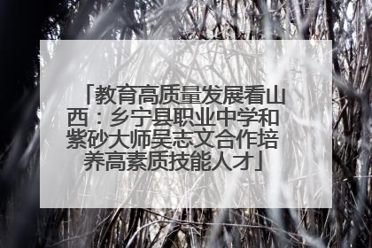教育高质量发展看山西：乡宁县职业中学和紫砂大师吴志文合作培养高素质技能人才