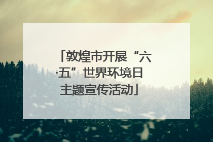 敦煌市开展“六·五”世界环境日主题宣传活动