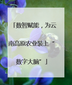 数智赋能，为云南高原农业装上“数字大脑”