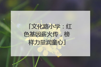 文化路小学：红色基因薪火传，榜样力量润童心