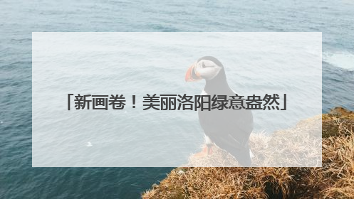 新画卷！美丽洛阳绿意盎然