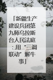 新疆生产建设兵团第九师乌拉斯台人民法庭：用“三调联动”解牛事