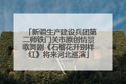新疆生产建设兵团第二师铁门关市原创情景歌舞剧《石榴花开别样红》将来河北巡演