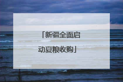 新疆全面启动夏粮收购