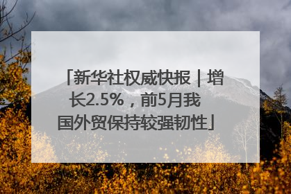 新华社权威快报｜增长2.5%，前5月我国外贸保持较强韧性