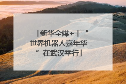 新华全媒+丨“世界机器人嘉年华”在武汉举行