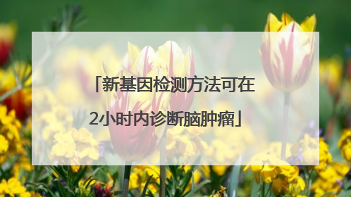 新基因检测方法可在2小时内诊断脑肿瘤