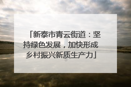 新泰市青云街道：坚持绿色发展，加快形成乡村振兴新质生产力