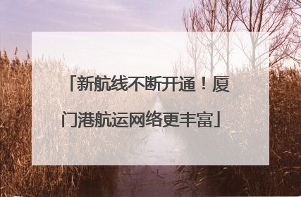 新航线不断开通！厦门港航运网络更丰富