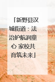 新野县汉城街道:法治护航润童心 家校共育筑未来
