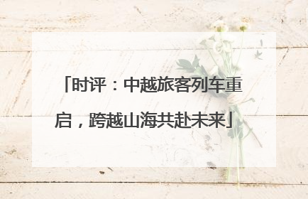 时评：中越旅客列车重启，跨越山海共赴未来