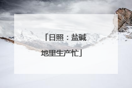日照：盐碱地里生产忙