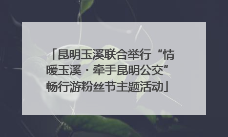 昆明玉溪联合举行“情暖玉溪・牵手昆明公交”畅行游粉丝节主题活动