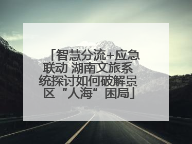 智慧分流+应急联动 湖南文旅系统探讨如何破解景区“人海”困局
