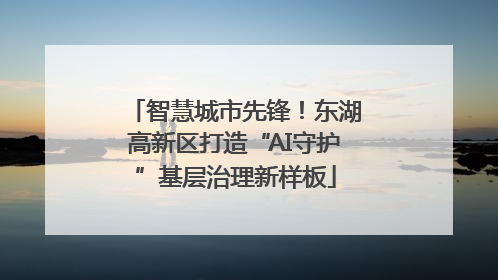 智慧城市先锋！东湖高新区打造“AI守护”基层治理新样板