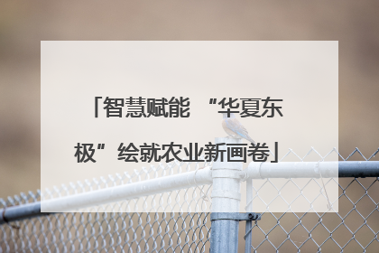智慧赋能 “华夏东极”绘就农业新画卷