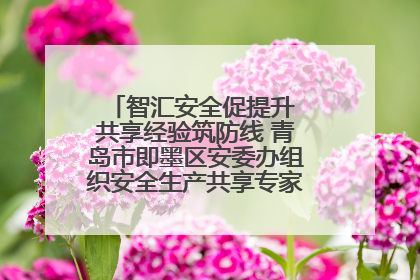 智汇安全促提升 共享经验筑防线 青岛市即墨区安委办组织安全生产共享专家现场观摩学习活动