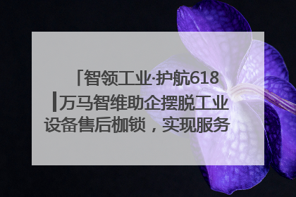 智领工业·护航618┃万马智维助企摆脱工业设备售后枷锁，实现服务与效能价值共振！