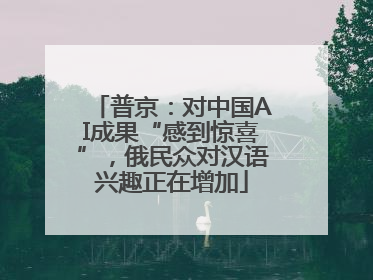 普京：对中国AI成果“感到惊喜”，俄民众对汉语兴趣正在增加