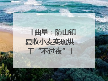 曲阜：防山镇夏收小麦实现烘干“不过夜”