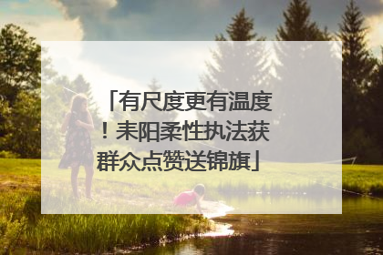 有尺度更有温度！耒阳柔性执法获群众点赞送锦旗