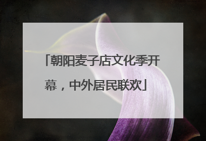 朝阳麦子店文化季开幕，中外居民联欢