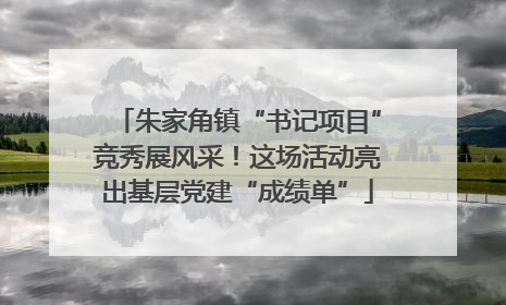 朱家角镇“书记项目”竞秀展风采！这场活动亮出基层党建“成绩单”
