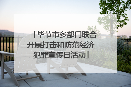 毕节市多部门联合开展打击和防范经济犯罪宣传日活动