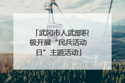 武冈市人武部积极开展“民兵活动日”主题活动