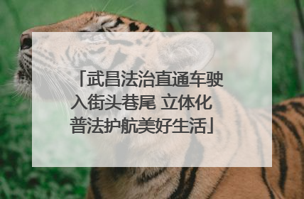 武昌法治直通车驶入街头巷尾 立体化普法护航美好生活