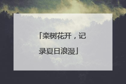 栾树花开，记录夏日浪漫