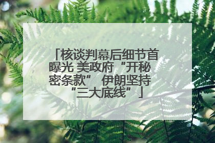 核谈判幕后细节首曝光 美政府“开秘密条款” 伊朗坚持“三大底线”