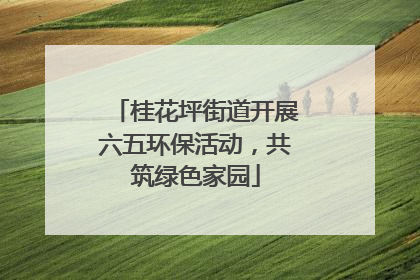 桂花坪街道开展六五环保活动，共筑绿色家园