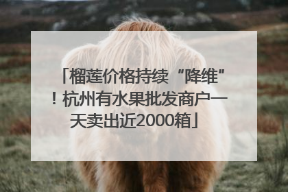 榴莲价格持续“降维”！杭州有水果批发商户一天卖出近2000箱