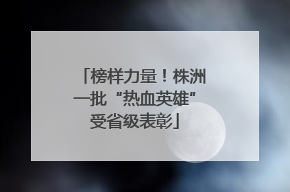 榜样力量！株洲一批“热血英雄”受省级表彰