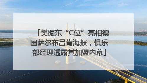 樊振东“C位”亮相德国萨尔布吕肯海报，俱乐部经理透露其加盟内幕