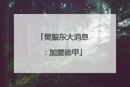 樊振东大消息：加盟德甲