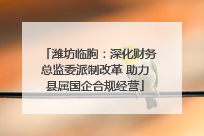 潍坊临朐：深化财务总监委派制改革 助力县属国企合规经营