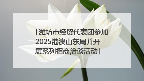 潍坊市经贸代表团参加2025港澳山东周并开展系列招商洽谈活动