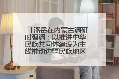 潘岳在内蒙古调研时强调：以推进中华民族共同体建设为主线推动边疆民族地区高质量发展