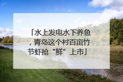 水上发电水下养鱼，青岛这个村百亩竹节虾抢“鲜”上市