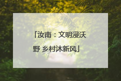 汝南：文明浸沃野 乡村沐新风