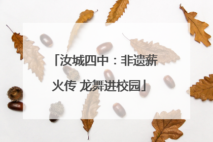 汝城四中：非遗薪火传 龙舞进校园