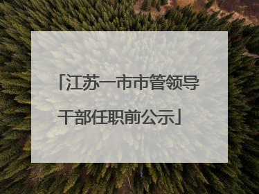 江苏一市市管领导干部任职前公示