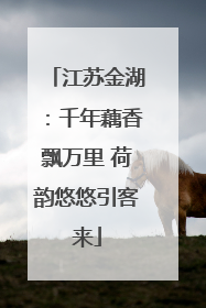 江苏金湖：千年藕香飘万里 荷韵悠悠引客来