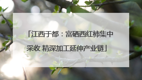 江西于都：富硒西红柿集中采收 精深加工延伸产业链