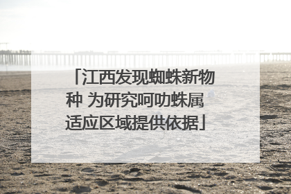 江西发现蜘蛛新物种 为研究呵叻蛛属适应区域提供依据
