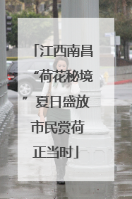 江西南昌“荷花秘境”夏日盛放 市民赏荷正当时