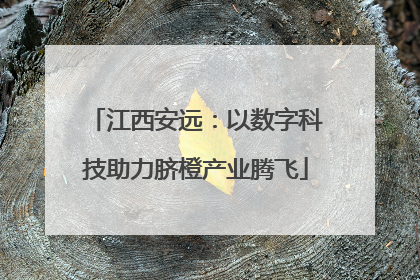 江西安远：以数字科技助力脐橙产业腾飞